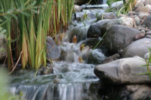 Water-Gardens